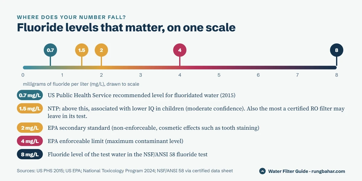 To-scale chart of fluoride levels: 0.7 mg/L US recommended level, 1.5 mg/L NTP finding and NSF 58 maximum after filtering, 2.0 mg/L EPA secondary standard, 4.0 mg/L EPA legal limit and 8.0 mg/L NSF 58 test water